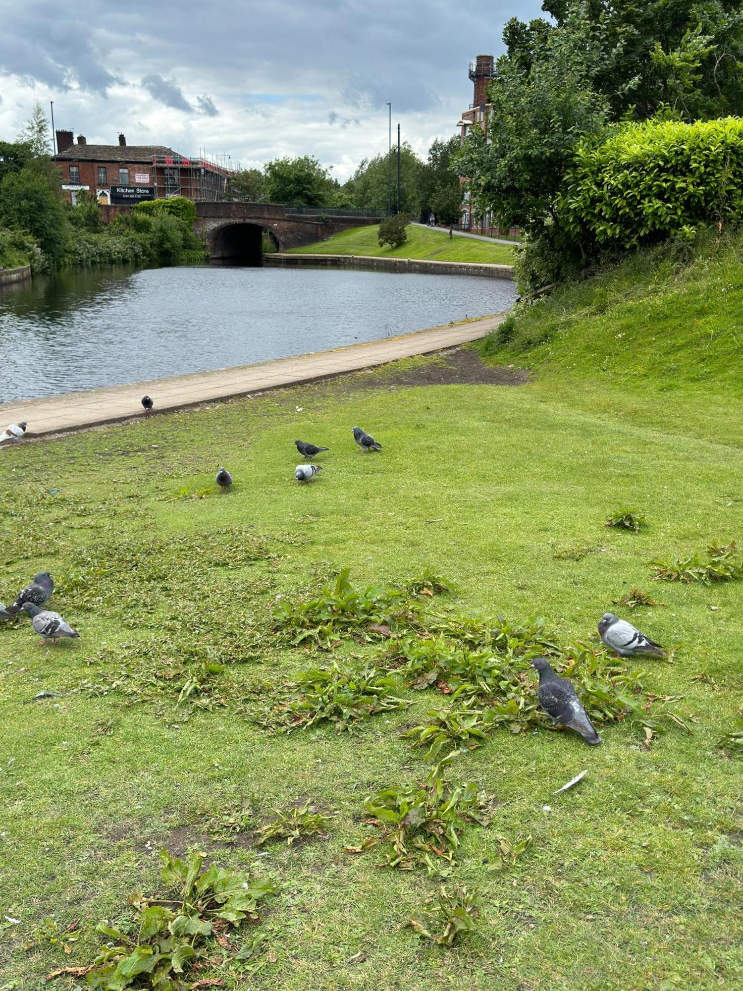 Ur Place Failsworth エクステリア 写真